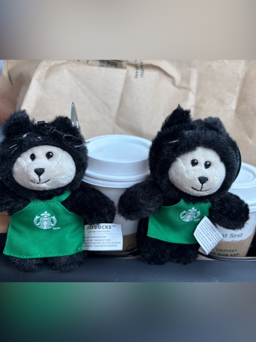 Starbucks Black Plush Bear Keychain Pair with Green Aprons